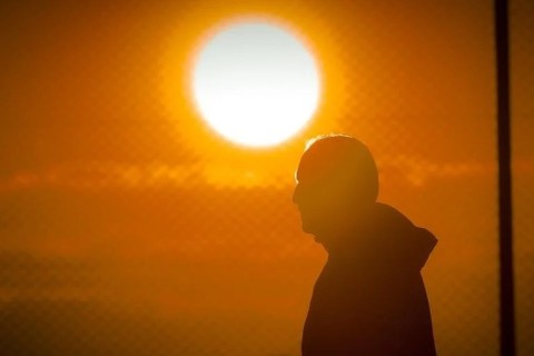 Inter enfrenta o Mirassol, sensação do Campeonato Brasileiro