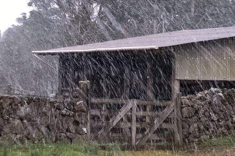 São José dos Ausentes registra neve nesta quinta-feira