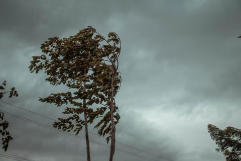 Após tempo firme, frente fria traz 'perigo potencial' de tempestade e rajadas de vento ao RS