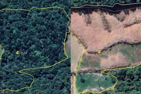 Mais de 4 hectares de desmatamento é flagrado em Fontoura Xavier