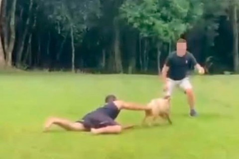 Polícia Civil investiga “corrida do porco” em Arroio do Meio; prática pode gerar multa de R$ 50 mil