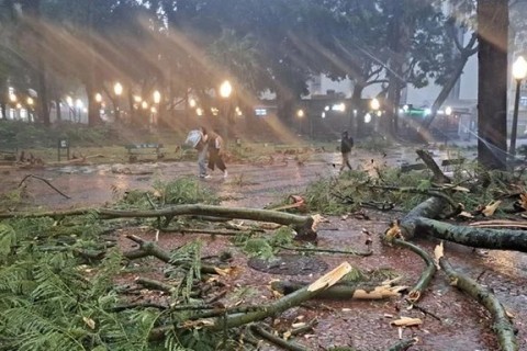 Situação de emergência, aulas da rede municipal e abastecimento de água: desdobramentos do temporal em Porto Alegre
