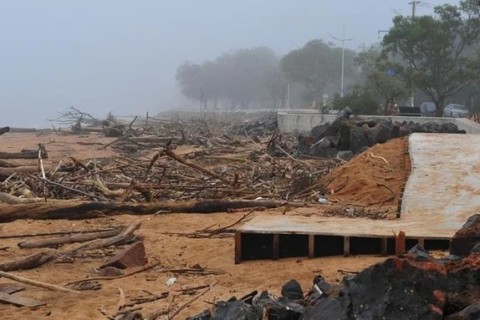 Excesso de galhos e retomada de hobbies marcam pós-enchente em praias da zona Sul de Porto Alegre