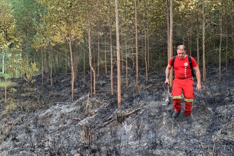 Incêndio florestal mobiliza Bombeiros Voluntários de Teutônia em Paverama