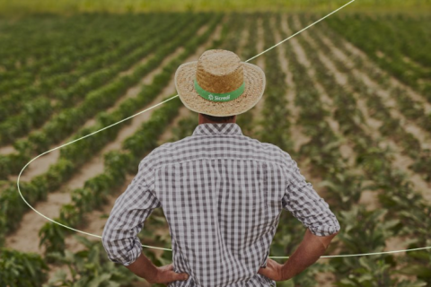 Sicredi é líder nas liberações de crédito rural no RS